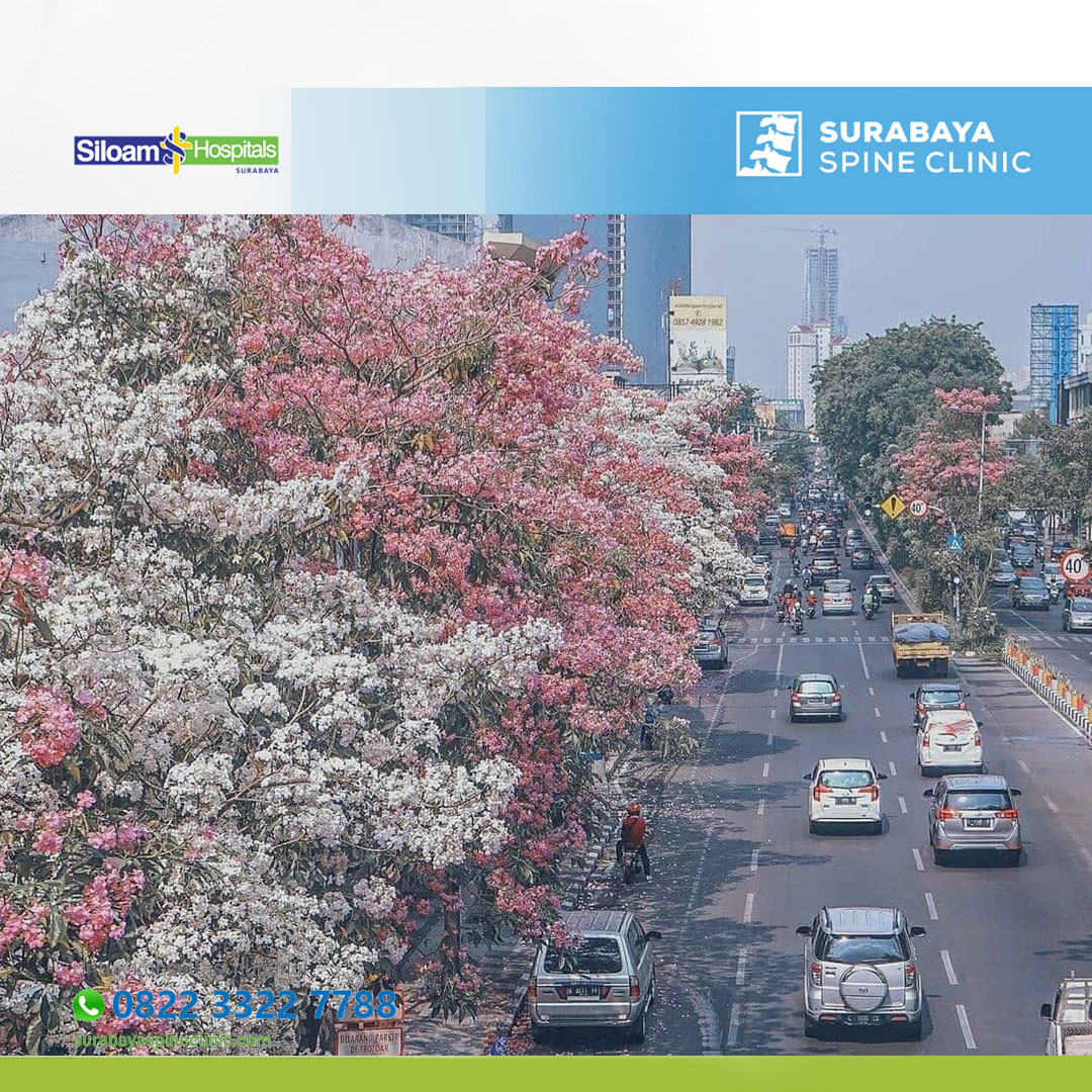 Siloam Surabaya: Kombinasi Kesehatan dan Wisata di Kota Pahlawan